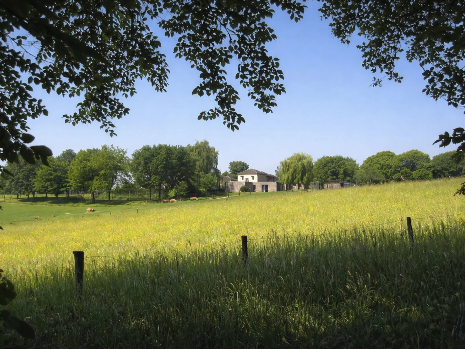 Vrijstaande 10 persoons - Buiten