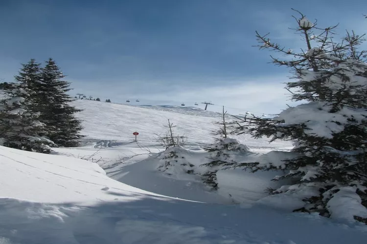 Thaler Hütte - Gipfelstürmer
