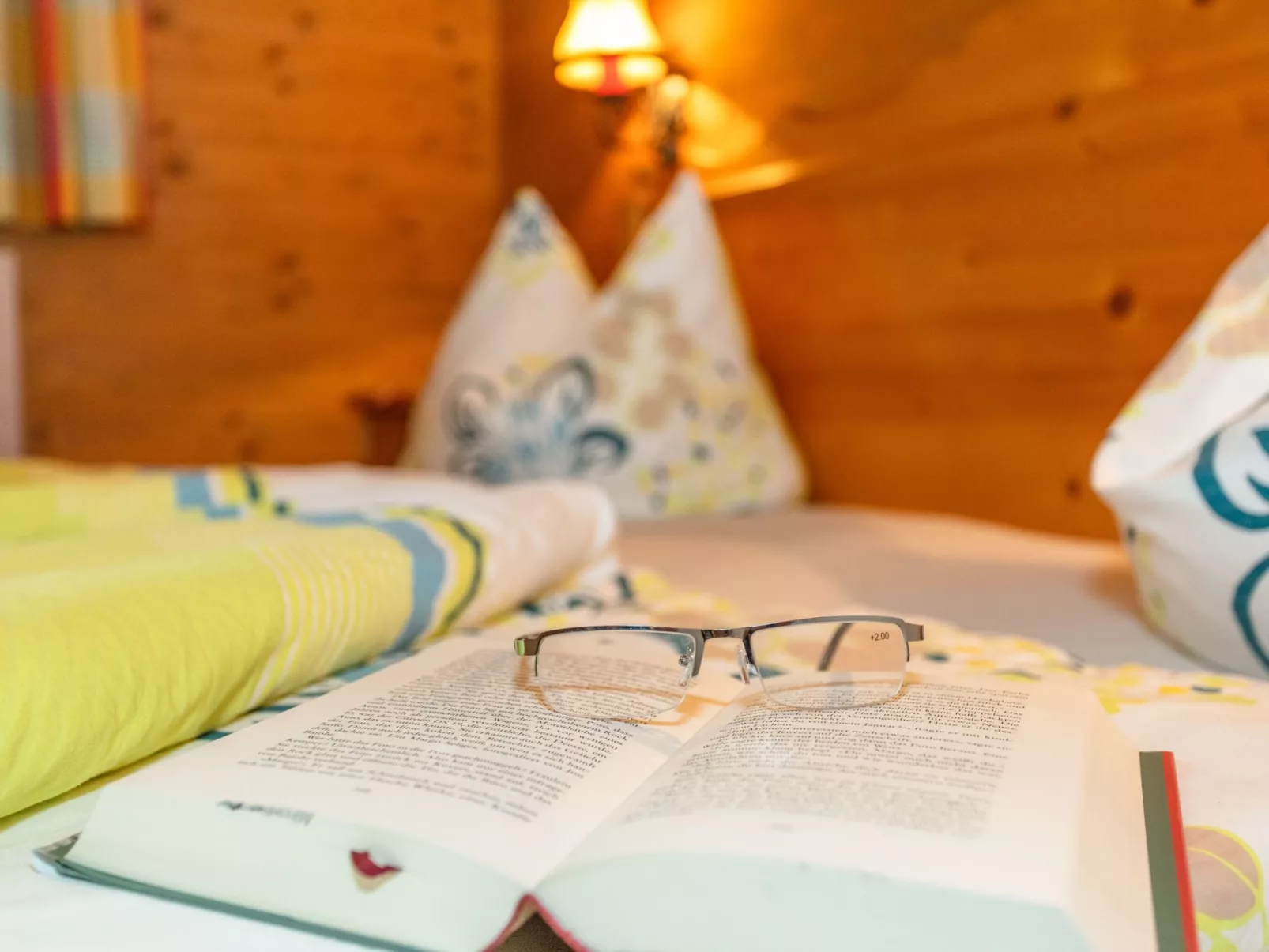 Auf dem Bauernhof in Viehhofen - Binnen