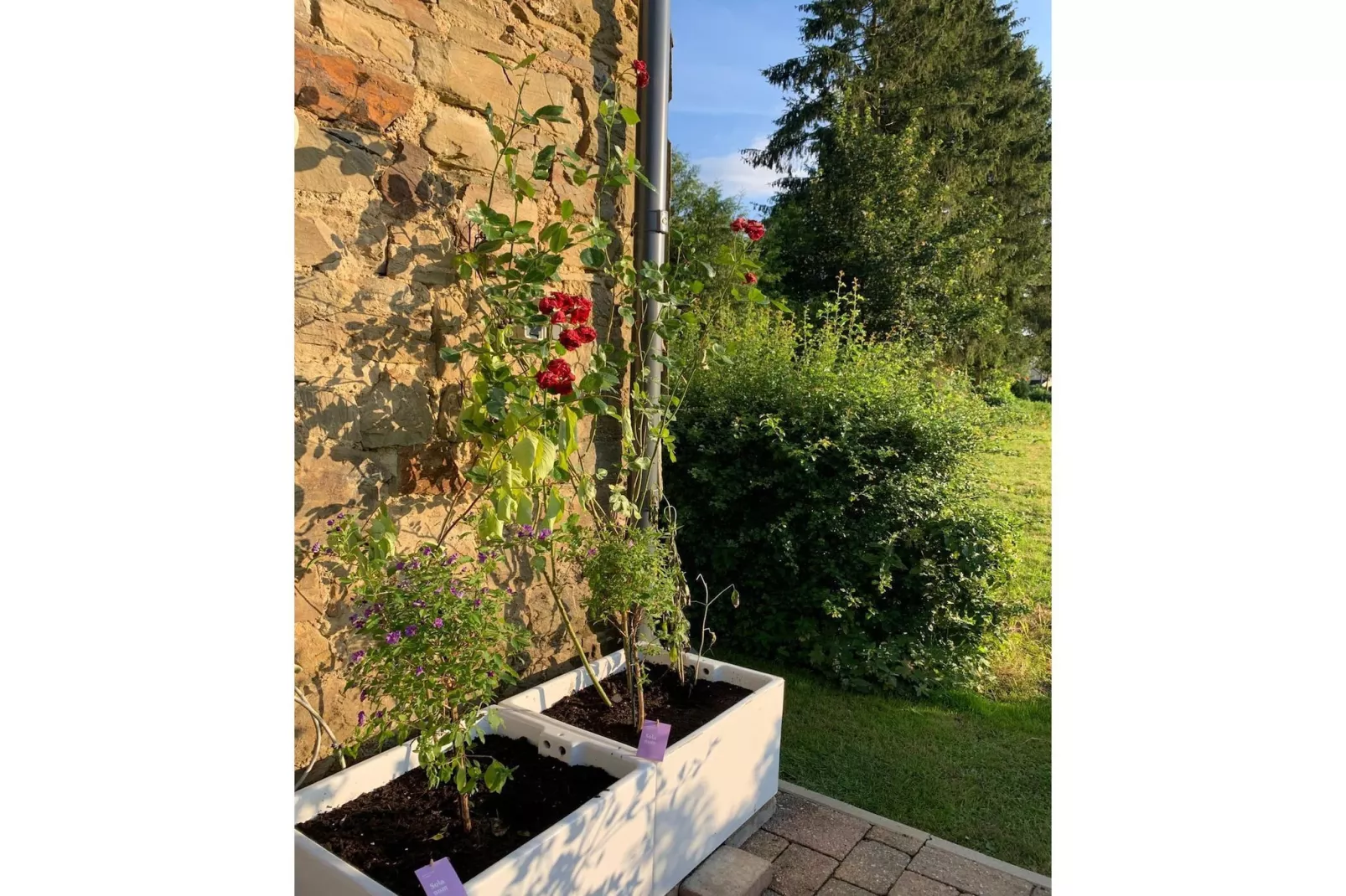 Haus Hunnenberg - Terrasbalkon