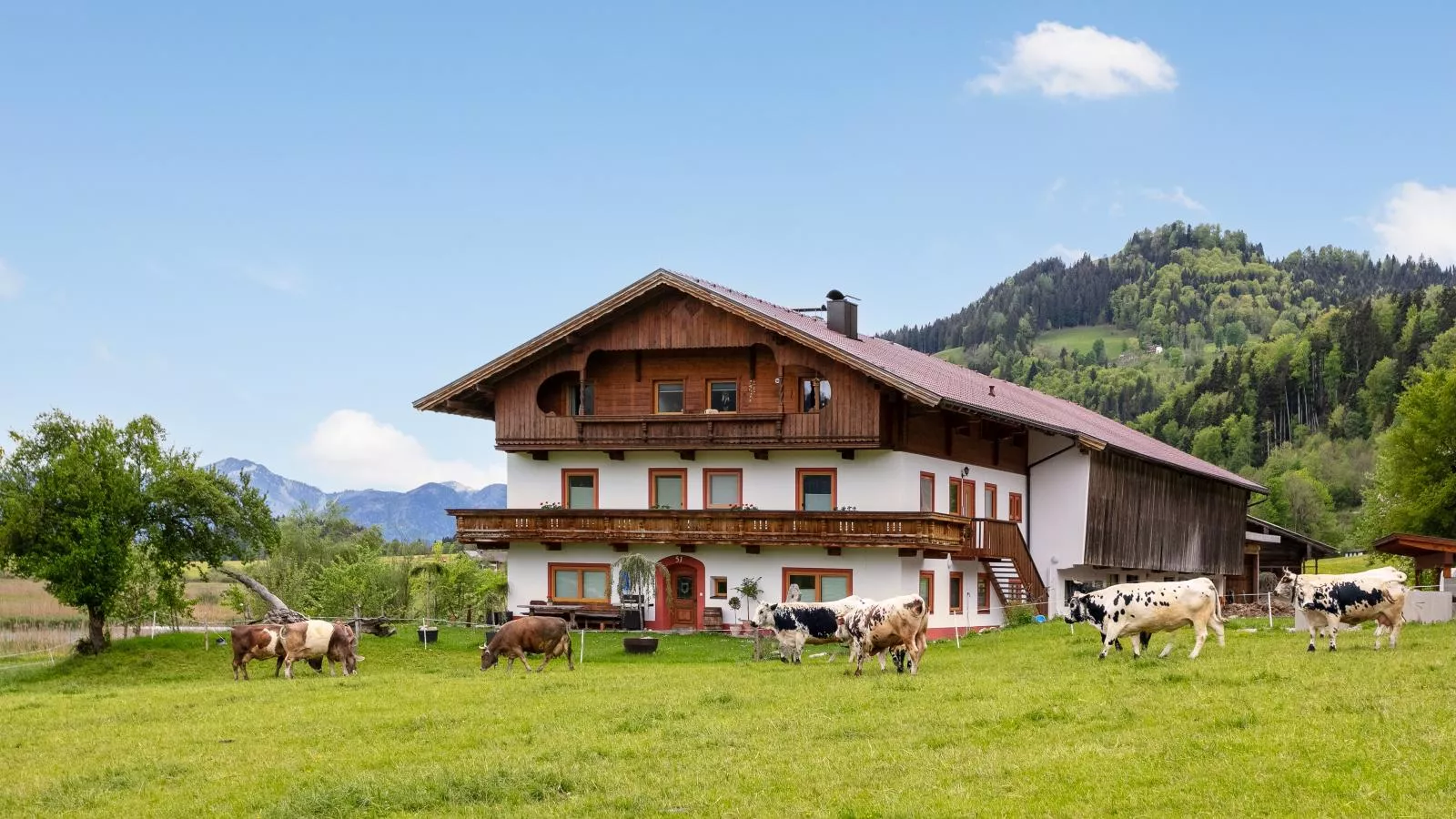 Marschbachhof Top 1 - Buitenkant zomer