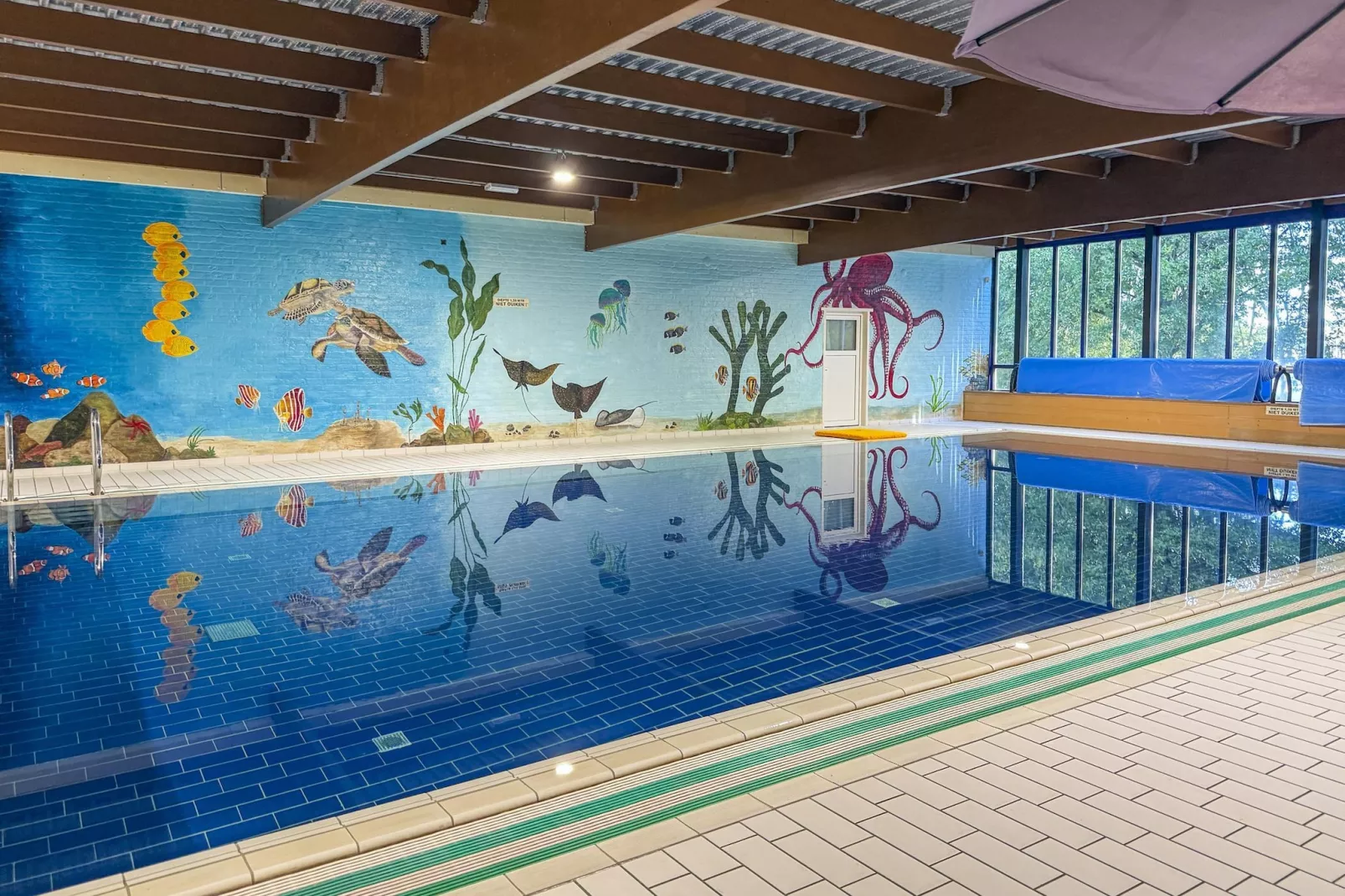 7 - Persoons Forest 217 Sauna Bungalow (copy) (copy)