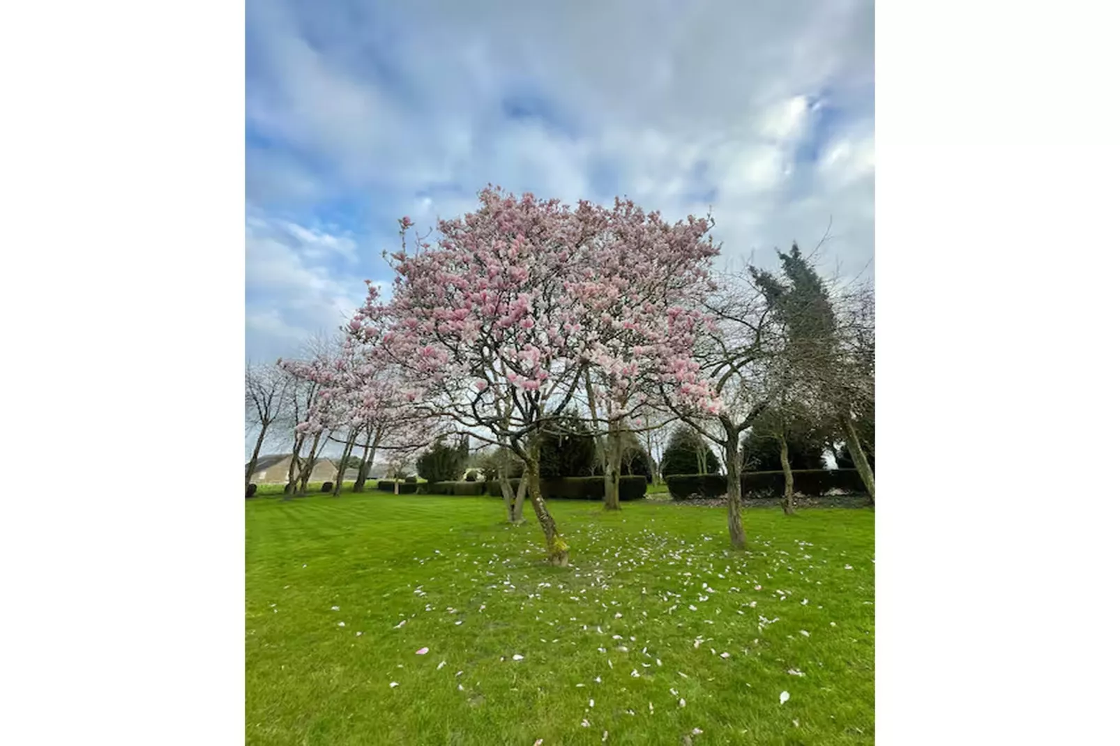 Gîte l'Armor  Jacuzzi terrasse privée cuisine - Tuinen zomer