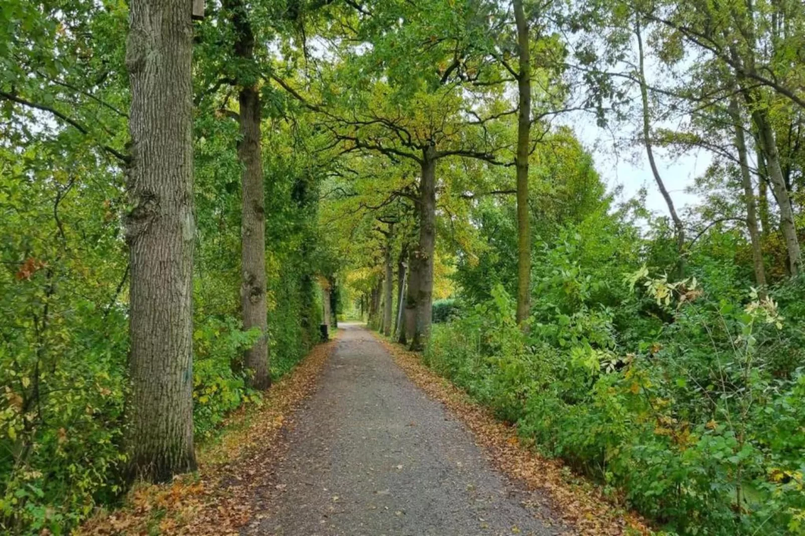 Vakantiepark 't Broeckhuys 3 - Gebieden zomer 20km