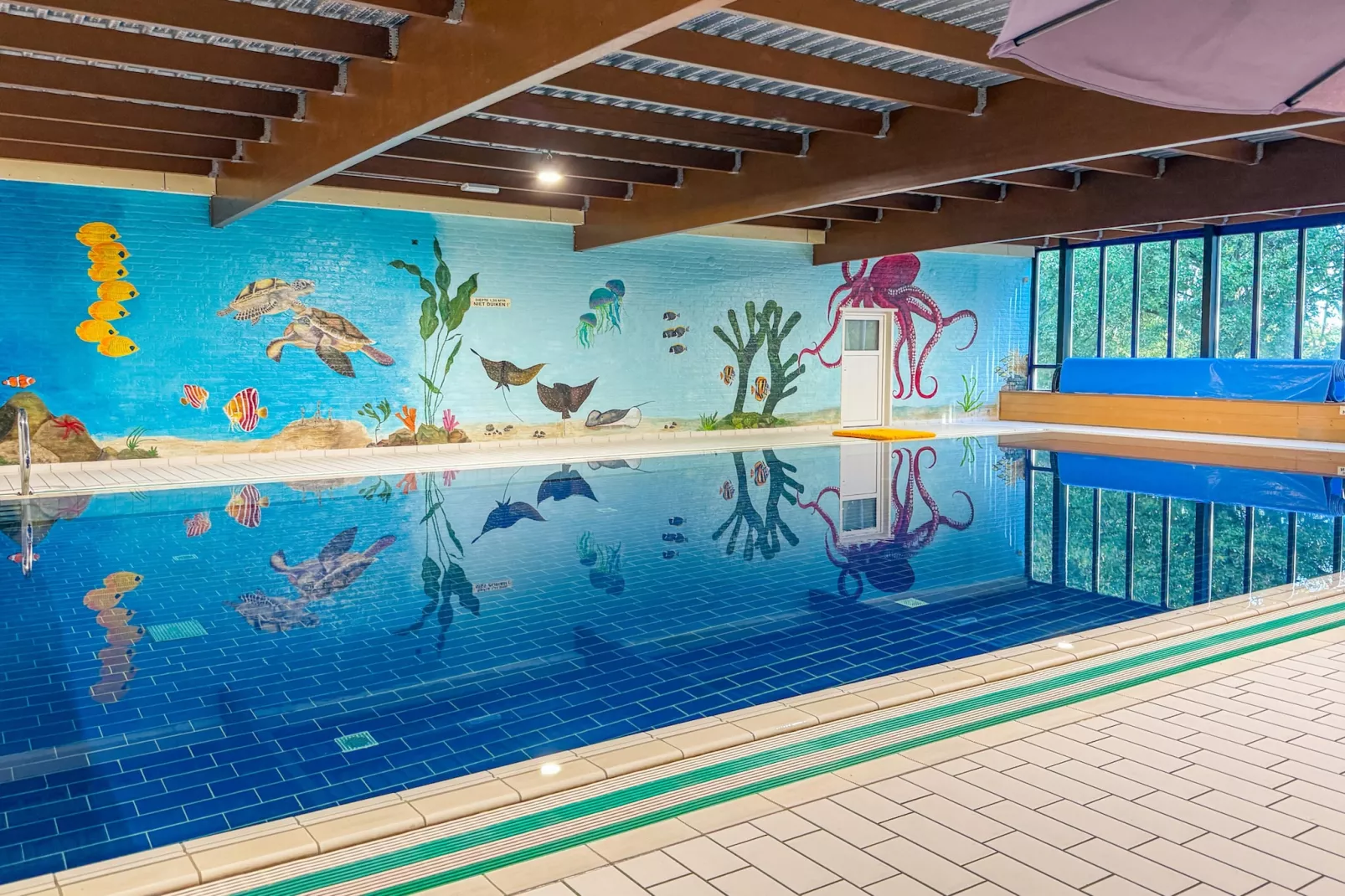 7 - Persoons Forest 217 Sauna Bungalow (copy) (copy) (copy) - Zwembad