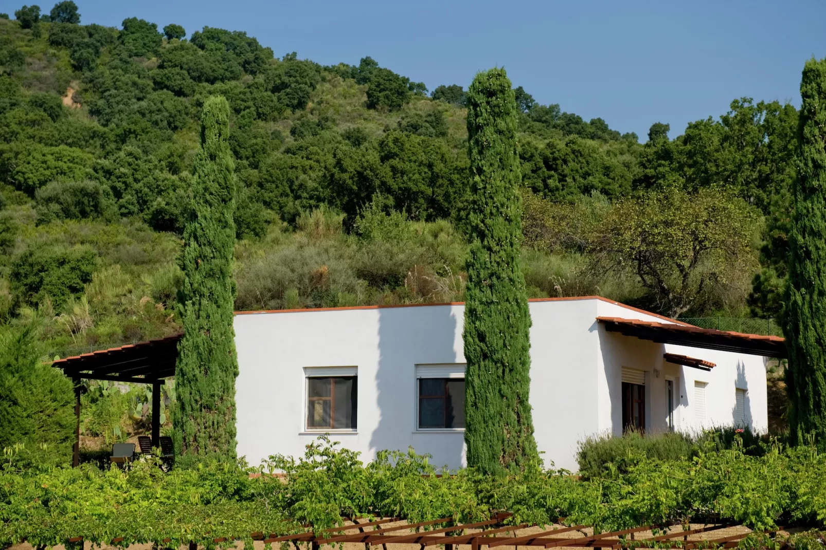 Casa Gialla - Buitenkant zomer