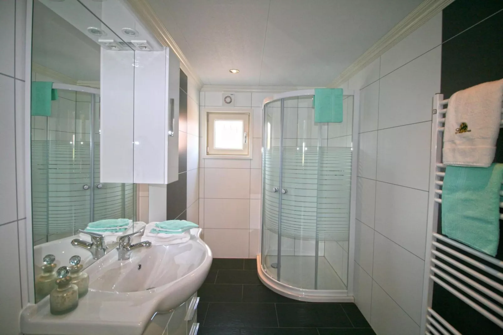 Tulpenhof met sauna  6 personen - Badkamer