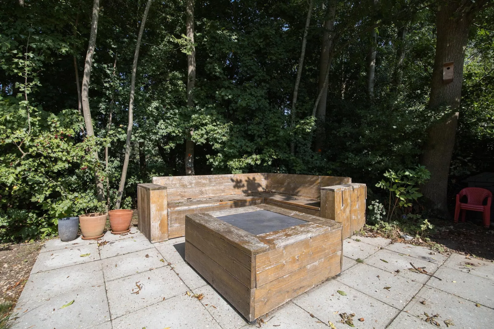 7 - Persoons Forest 217 Sauna Bungalow (copy) (copy) - Faciliteiten