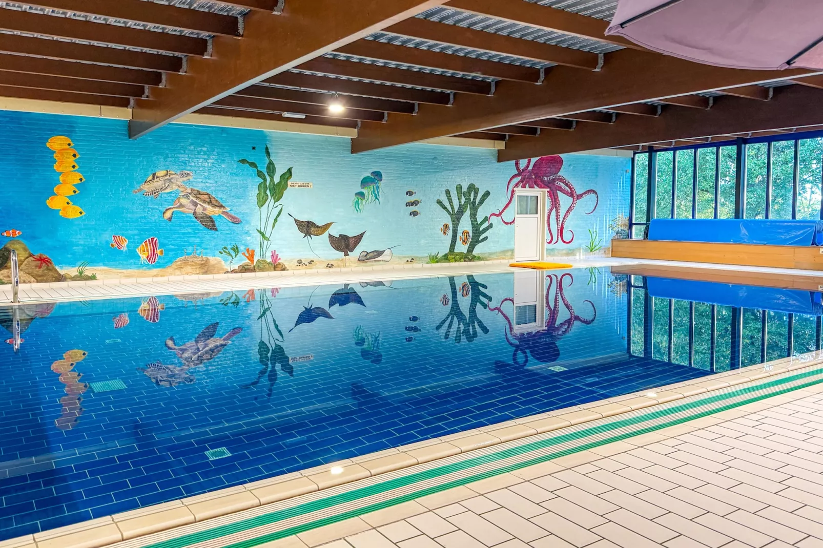 7 - Persoons Forest 217 Sauna Bungalow (copy) (copy) (copy) - Zwembad