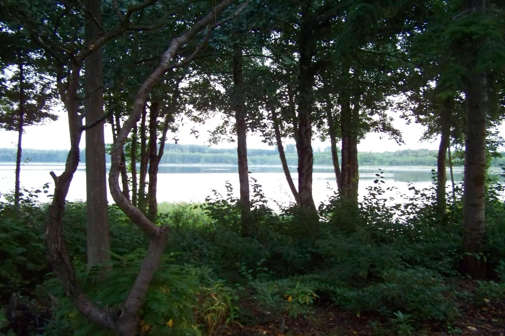 Fewo 04 6 P OG - Gebieden zomer 1km