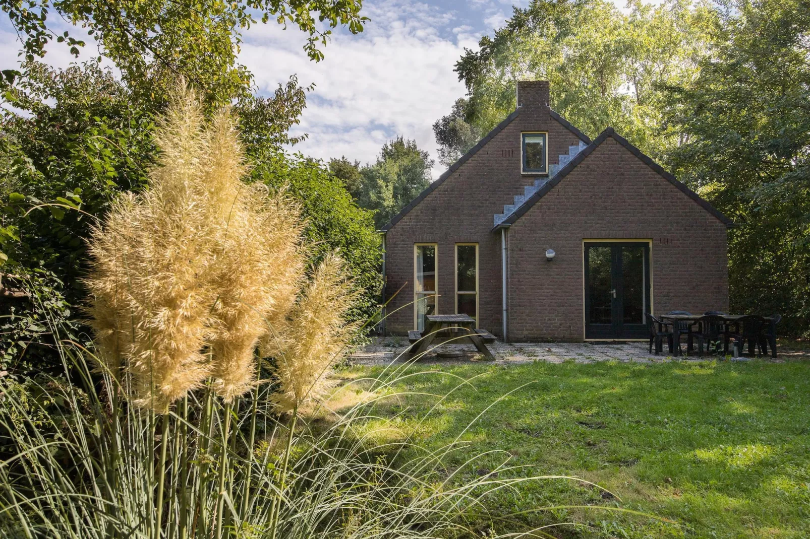 7 - Persoons Forest 217 Sauna Bungalow (copy) - Buitenkant zomer