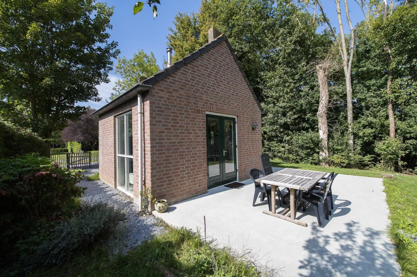 7 - Persoons Forest 217 Sauna Bungalow (copy) (copy) - Buitenkant zomer