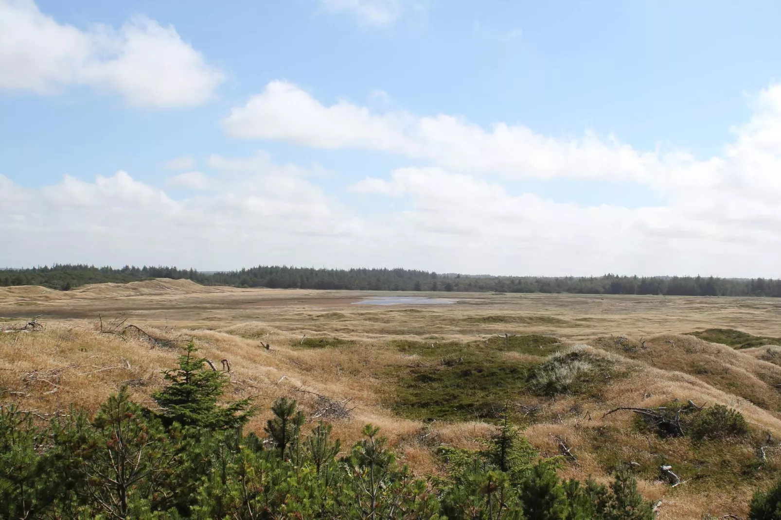 4 persoons vakantie huis in Thisted-By Traum - Niet-getagd