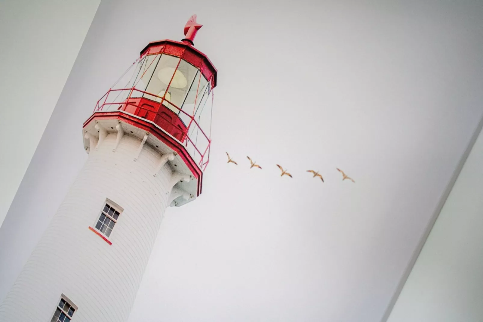 Ferienwohnung Feldlerche St Peter-Ording - Gebieden zomer 1km