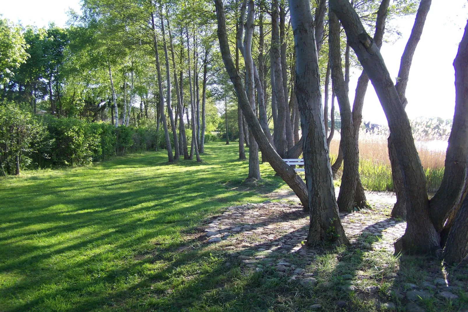 Fewo 04 6 P OG - Gebieden zomer 1km