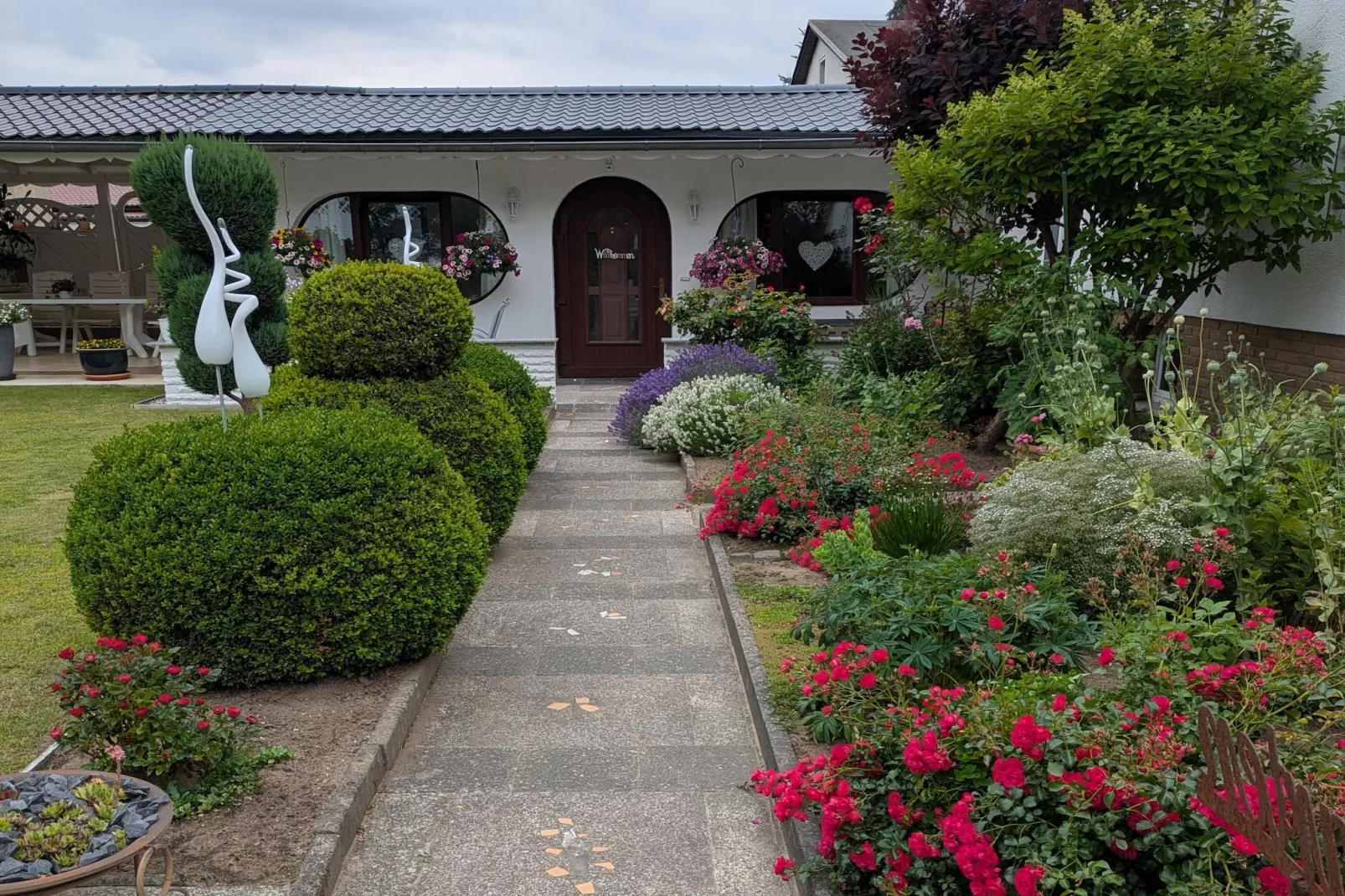 Sommerrose - Tuinen zomer