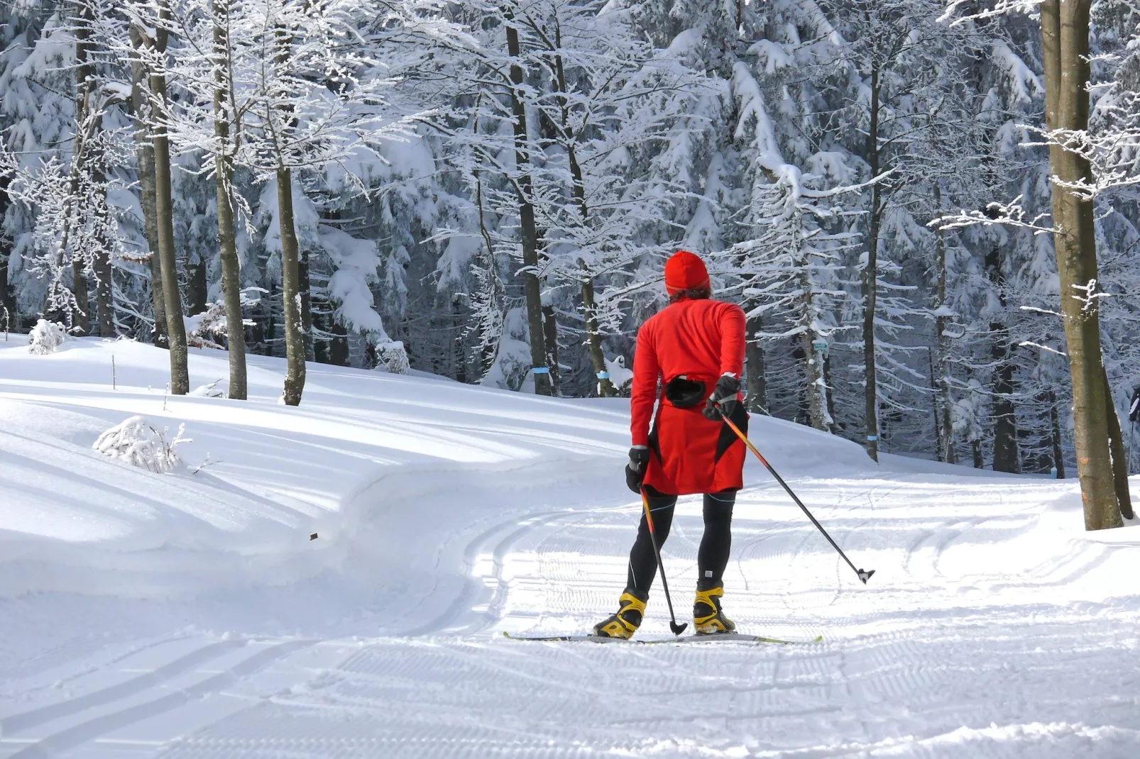 Typ A Standard - Bernhard J15 - Gebied winter 5km