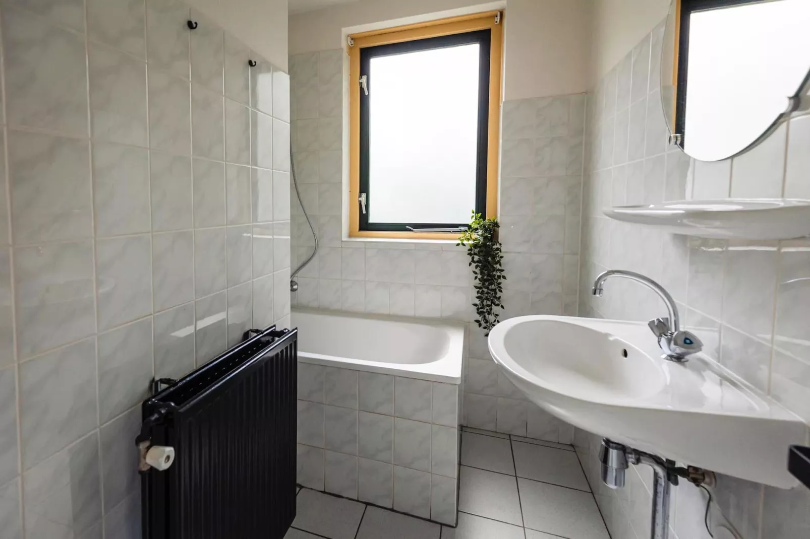 Vakantiepark 't Broeckhuys 1 - Badkamer