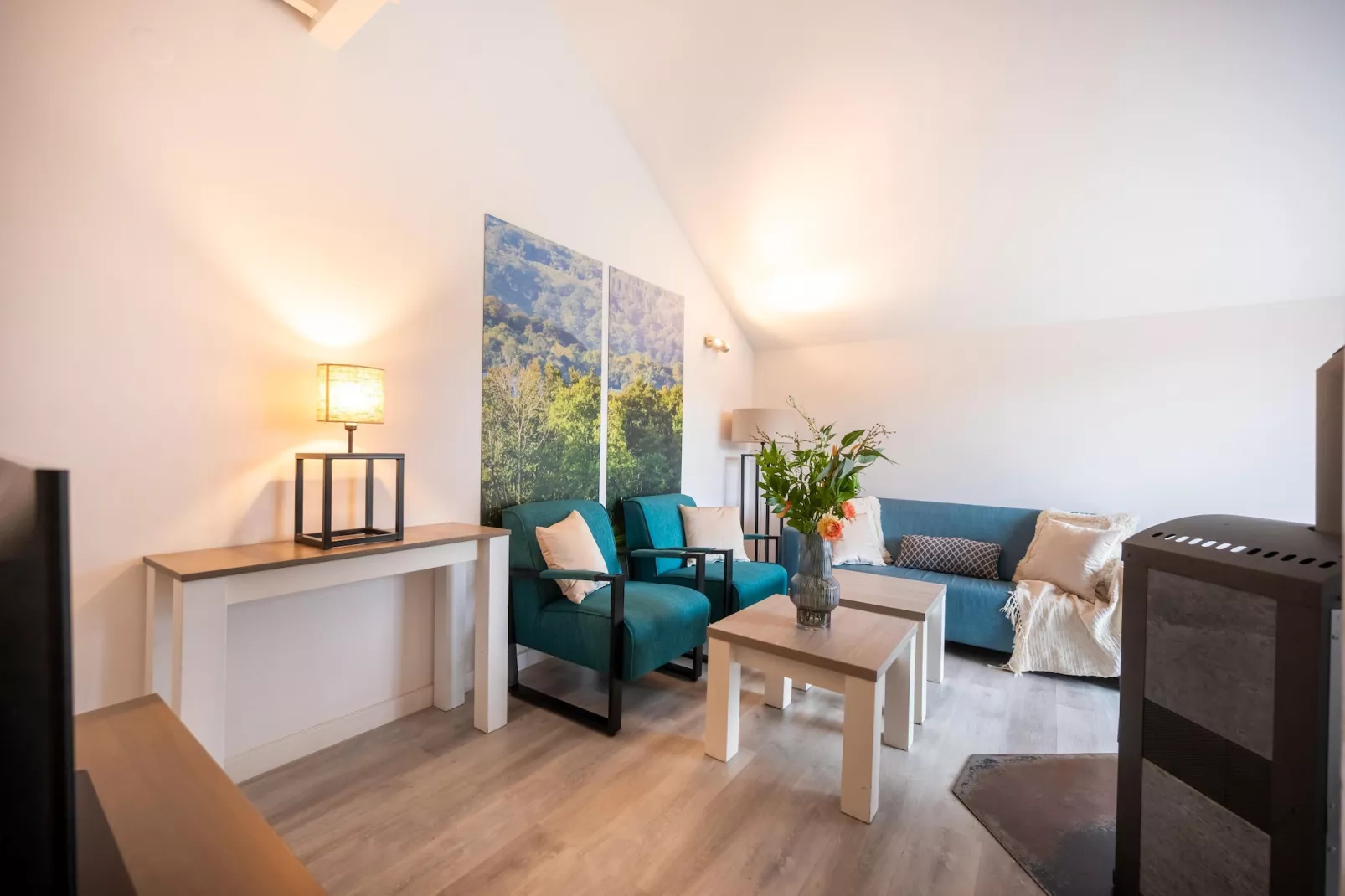 4P Comfort 2 - Woonkamer