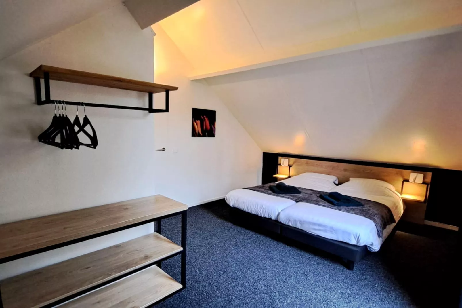 7 - Persoons Forest 217 Sauna Bungalow (copy) (copy) (copy) - Slaapkamer