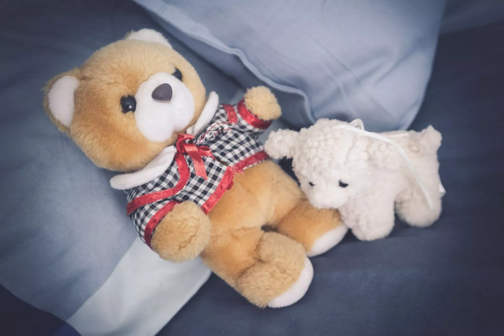 Ferienwohnung Feldlerche St Peter-Ording - Sfeer