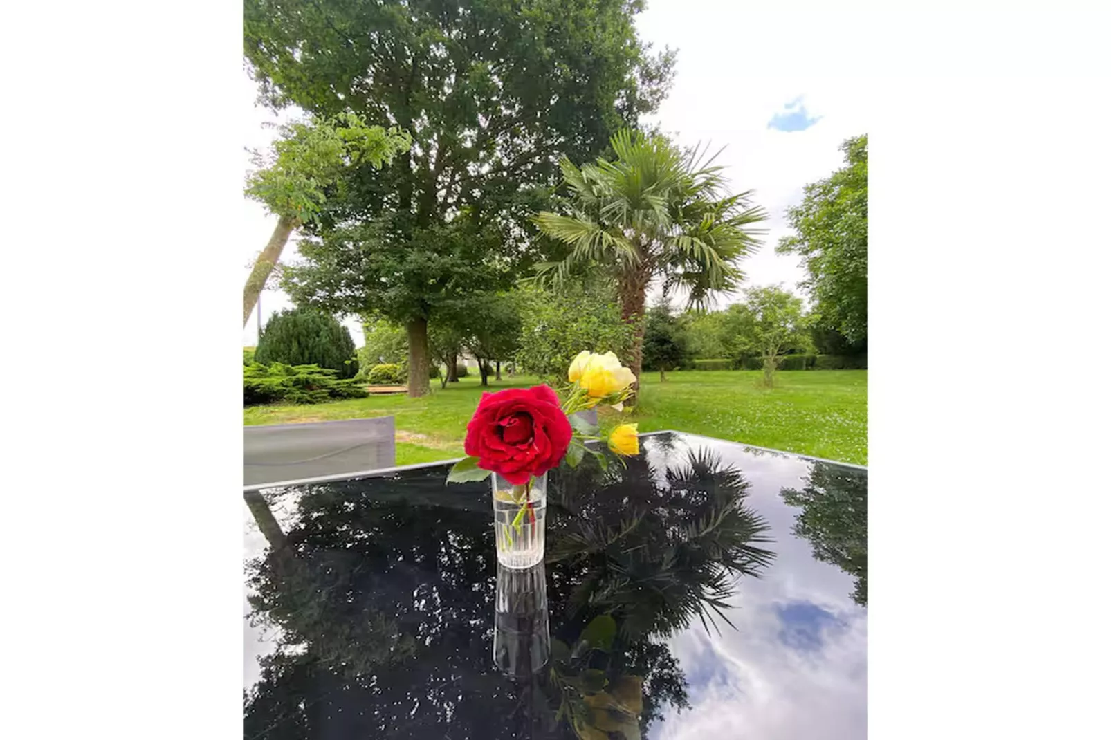 Gîte l'Armor  Jacuzzi terrasse privée cuisine - Tuinen zomer