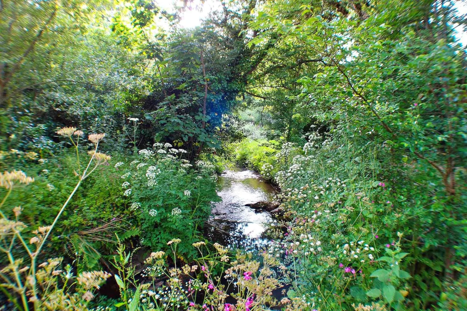 Porthcothan Mill Cottage - Buitenlucht