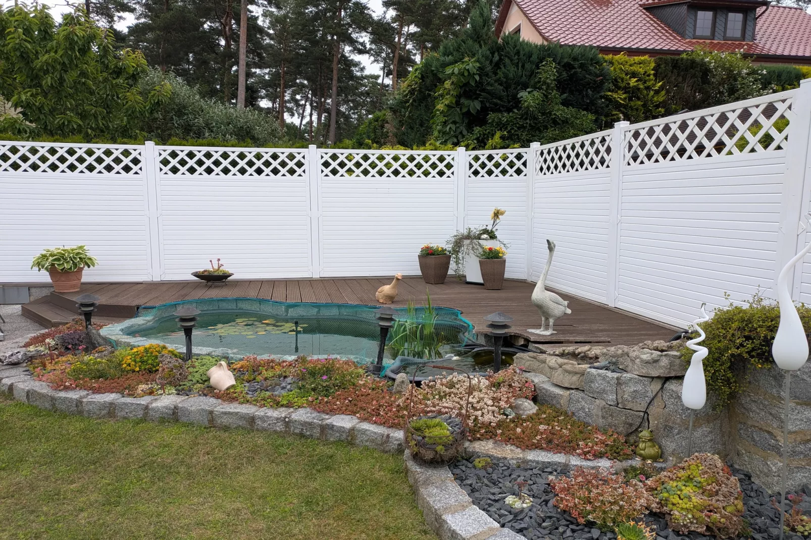 Sommerrose - Tuinen zomer