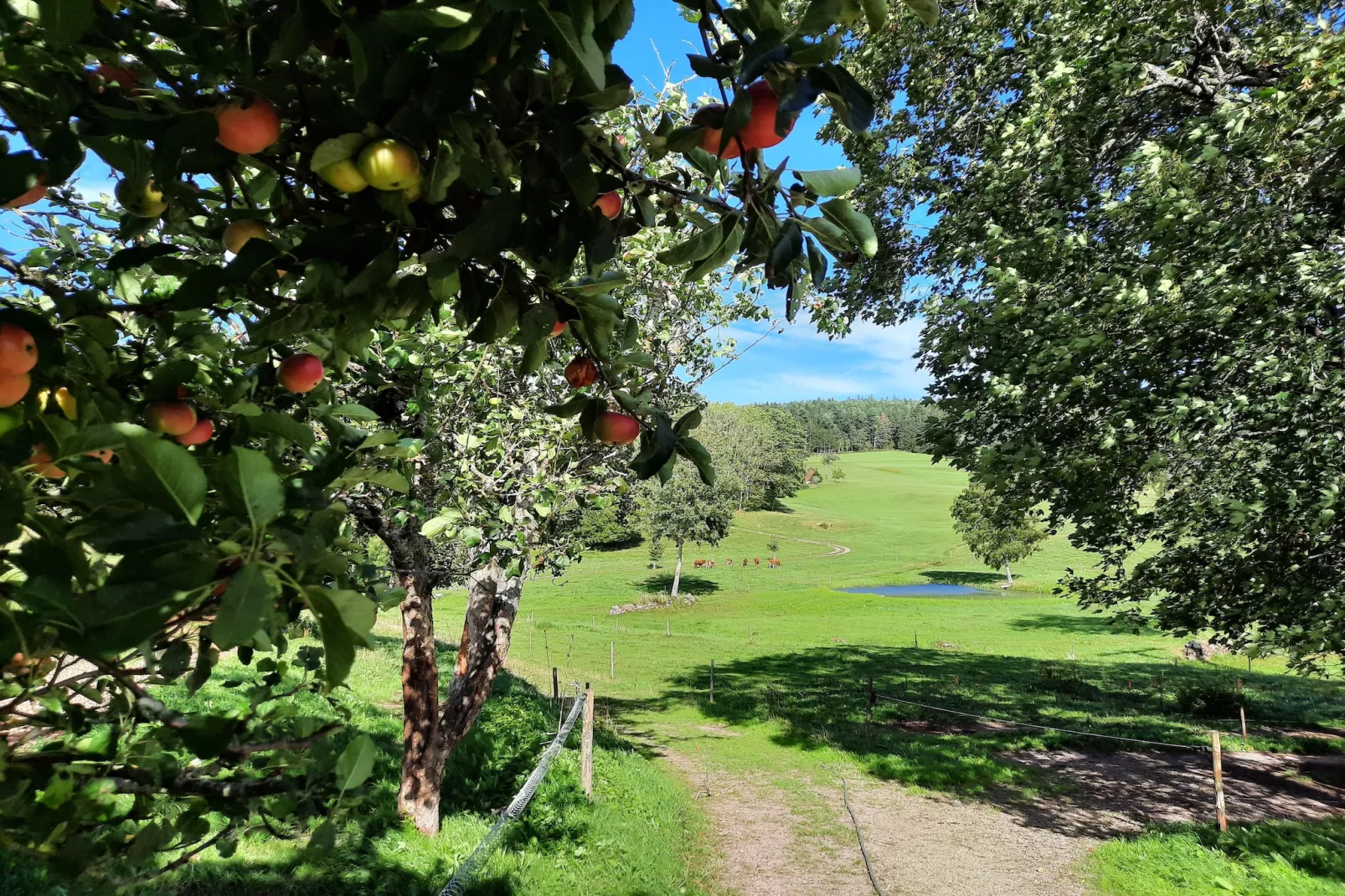 Zuckerbauernhof Weideblick - Tuinen zomer