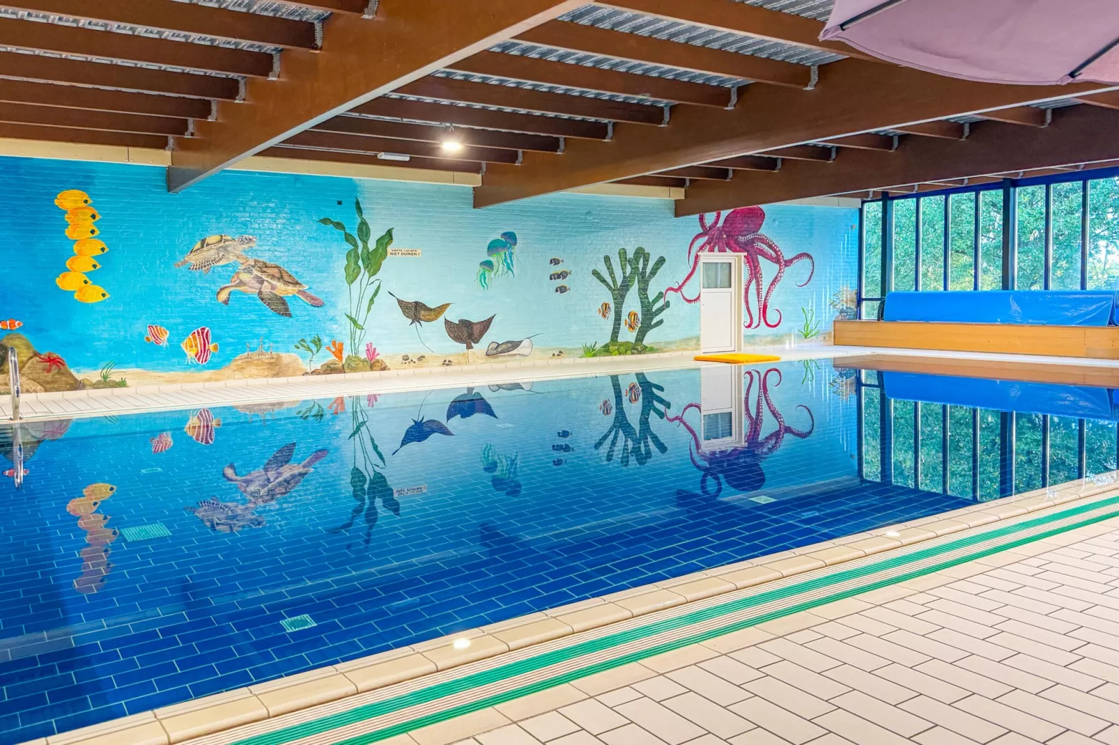 6 - Persons De Zingende Wilg (copy) (copy) (copy) - Zwembad