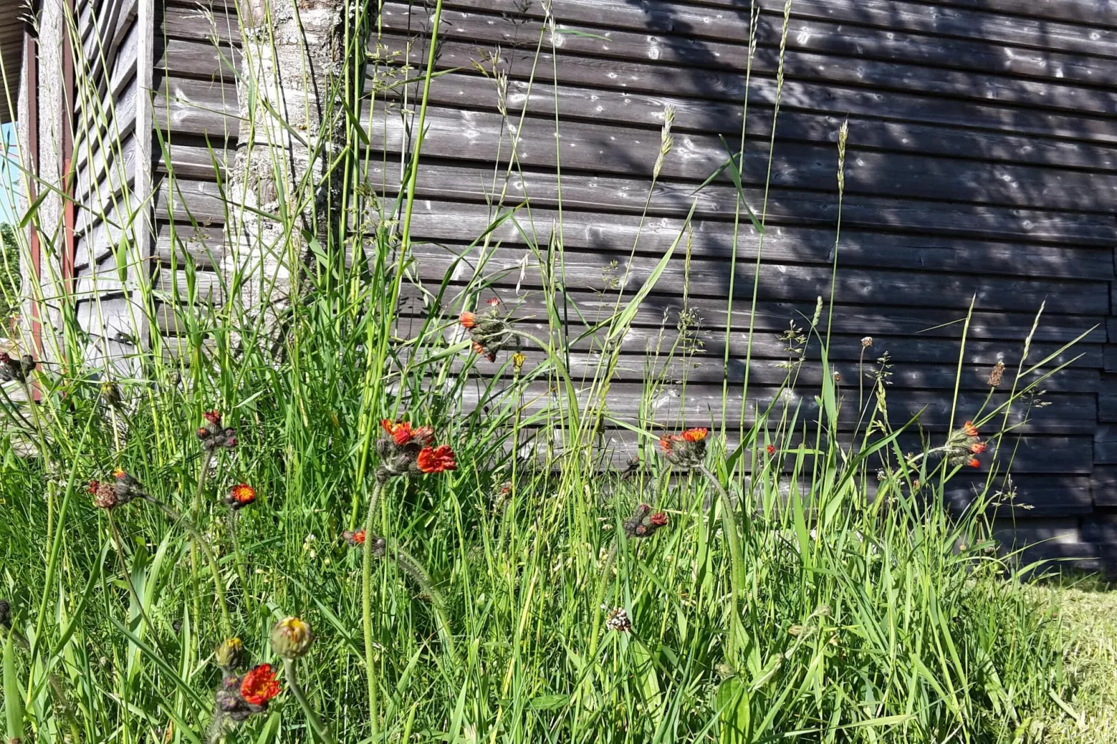 Zuckerbauernhof Weideblick - Tuinen zomer