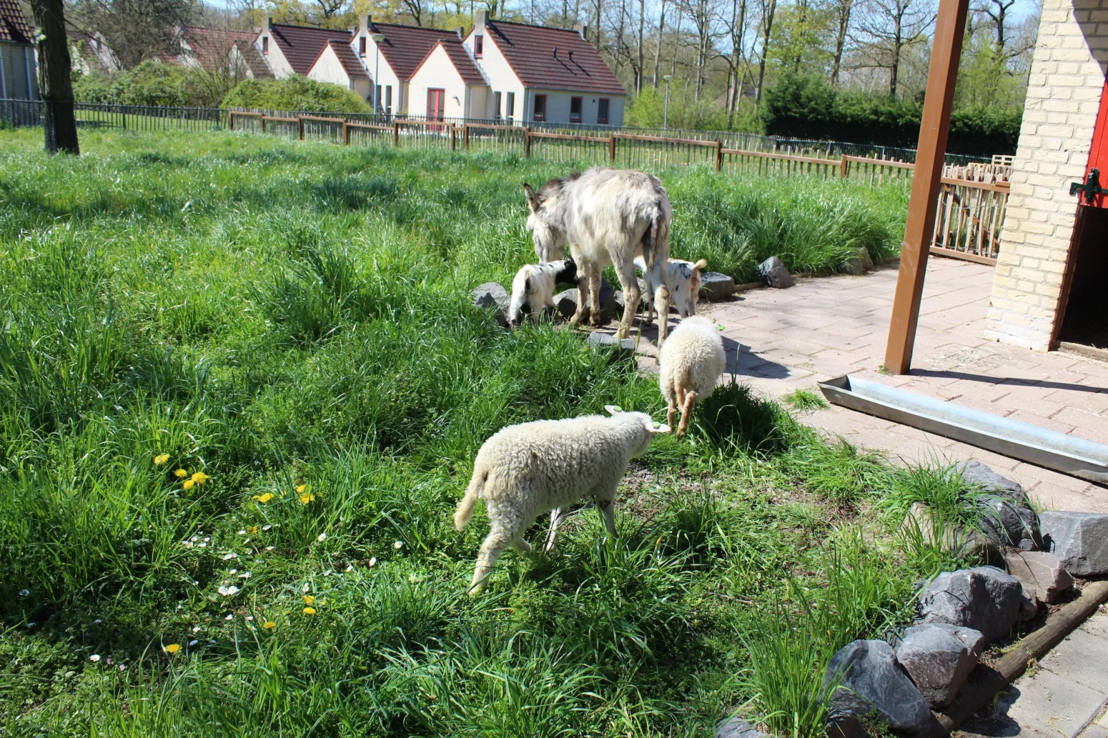 Vakantiepark 't Broeckhuys 1 - Parkfaciliteiten