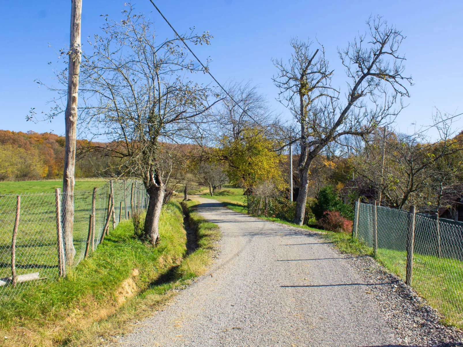 House Aurora Silvae - Buiten