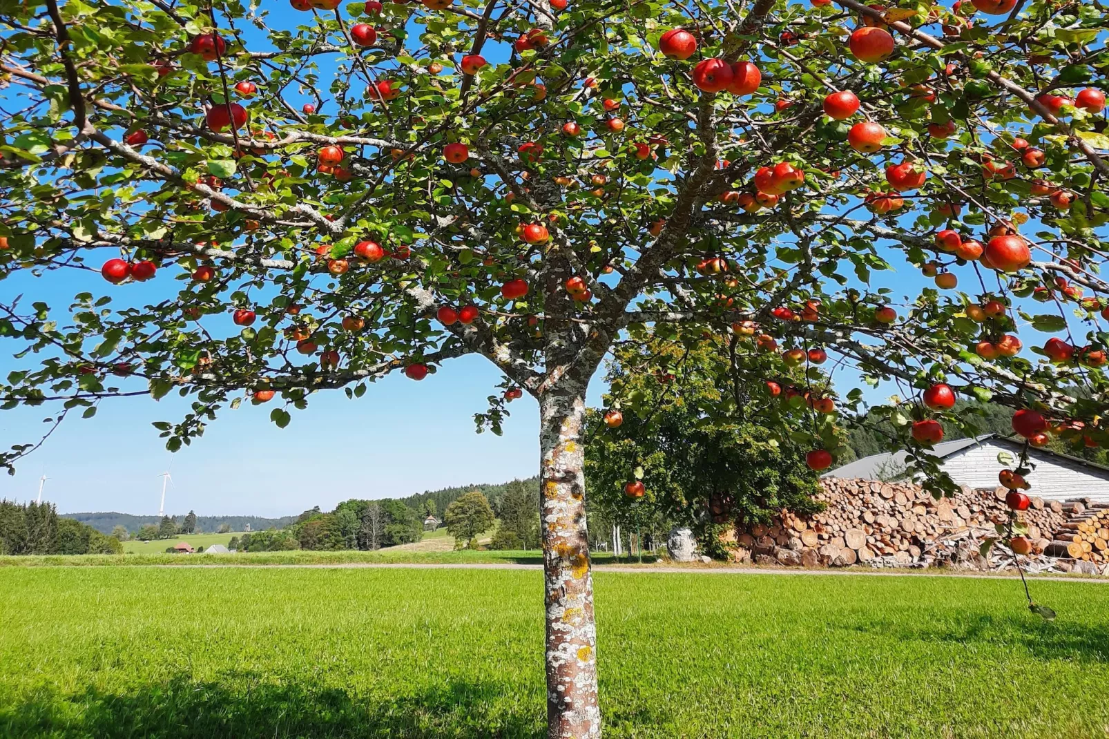 Zuckerbauernhof Weideblick - Tuinen zomer