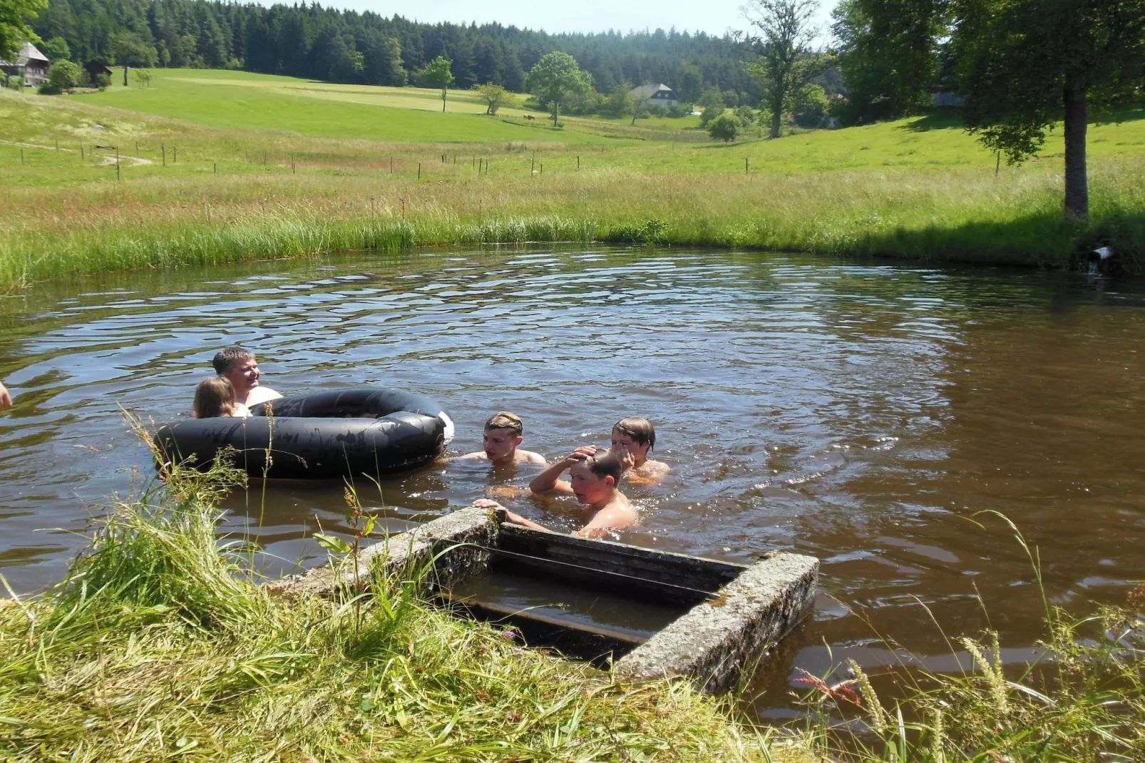 Zuckerbauernhof Weideblick - Gebieden zomer 1km