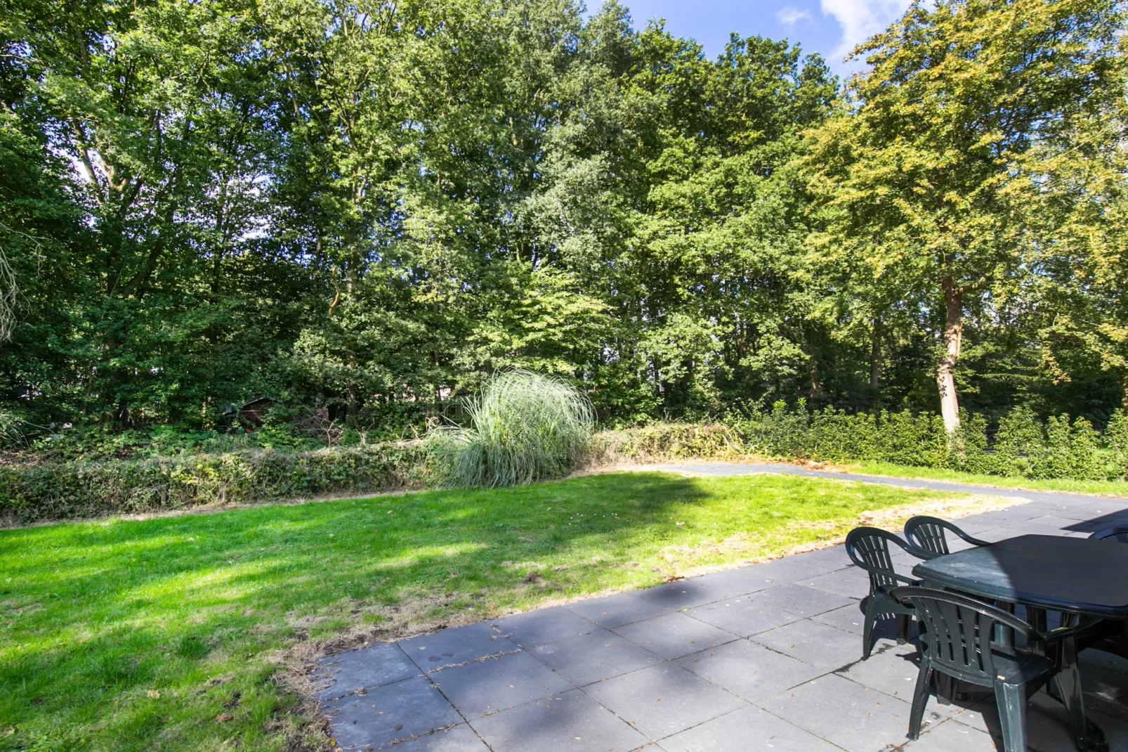 7 - Persoons Forest 217 Sauna Bungalow (copy) (copy) (copy) - Terrasbalkon