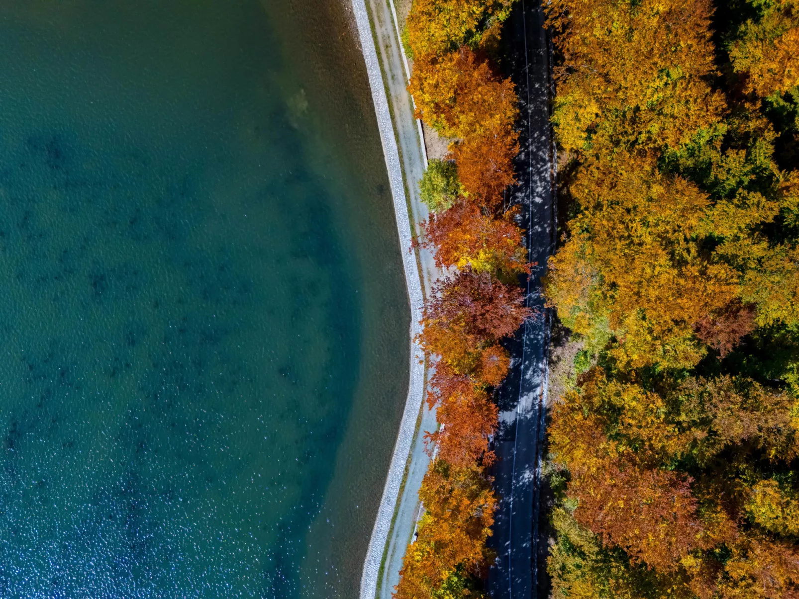 House Hillside Lodge - Buiten