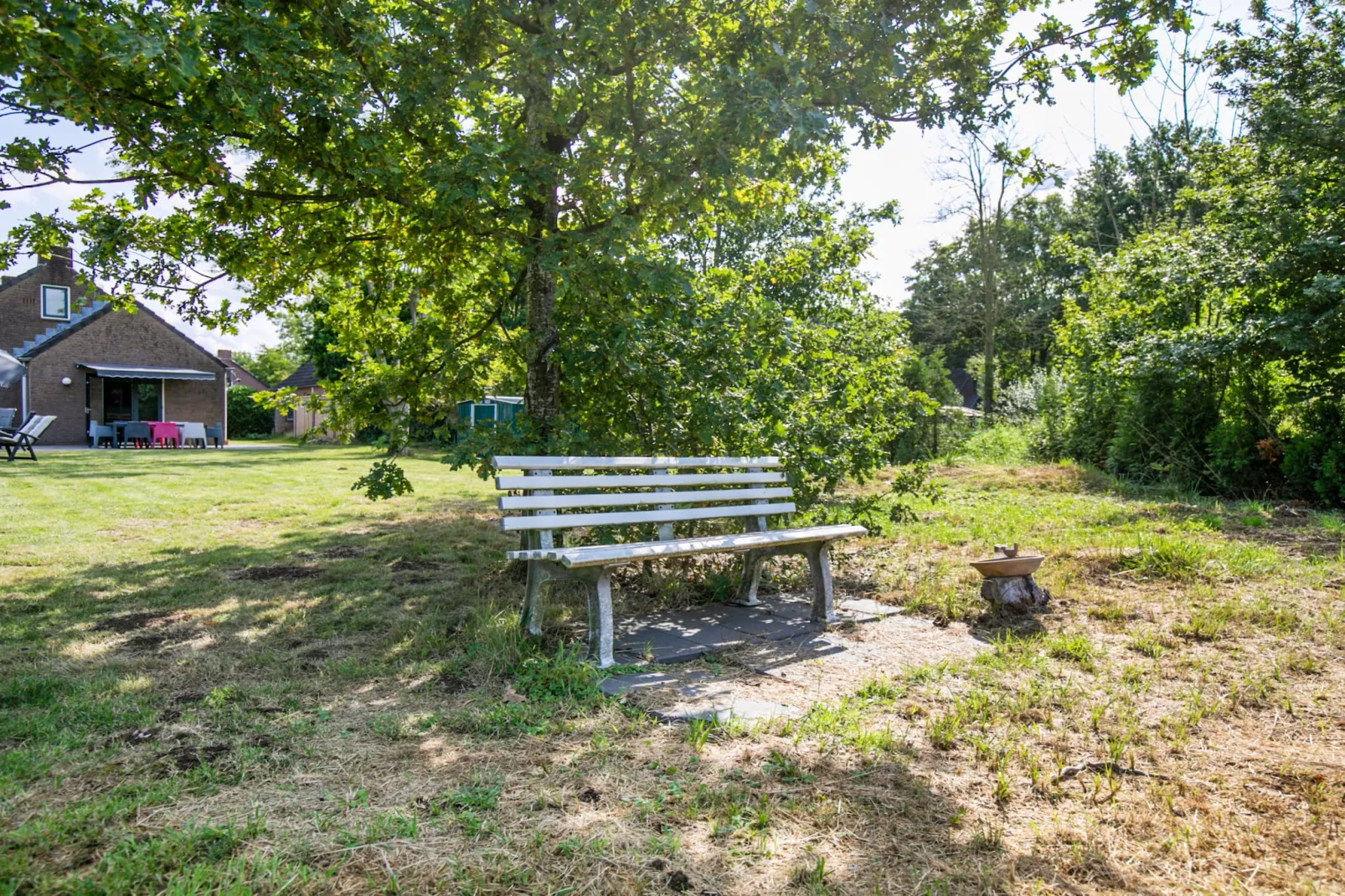 7 - Persoons Forest 217 Sauna Bungalow (copy) (copy) (copy) - Tuinen zomer