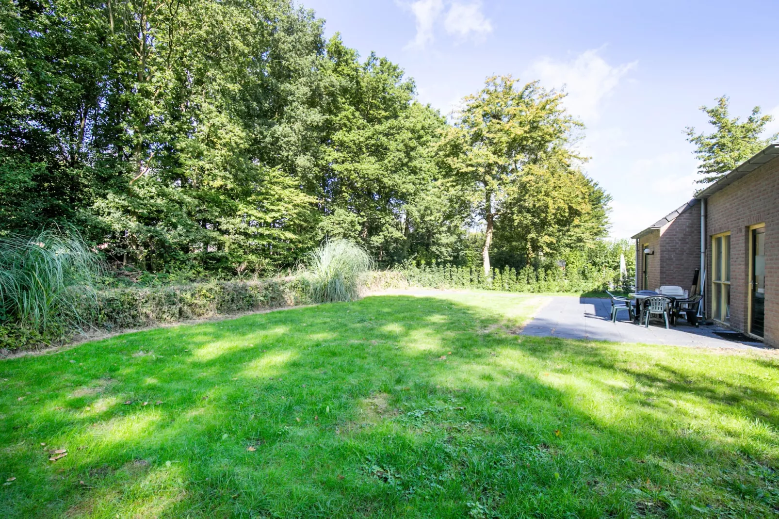 7 - Persoons Forest 217 Sauna Bungalow (copy) (copy) (copy) - Tuinen zomer