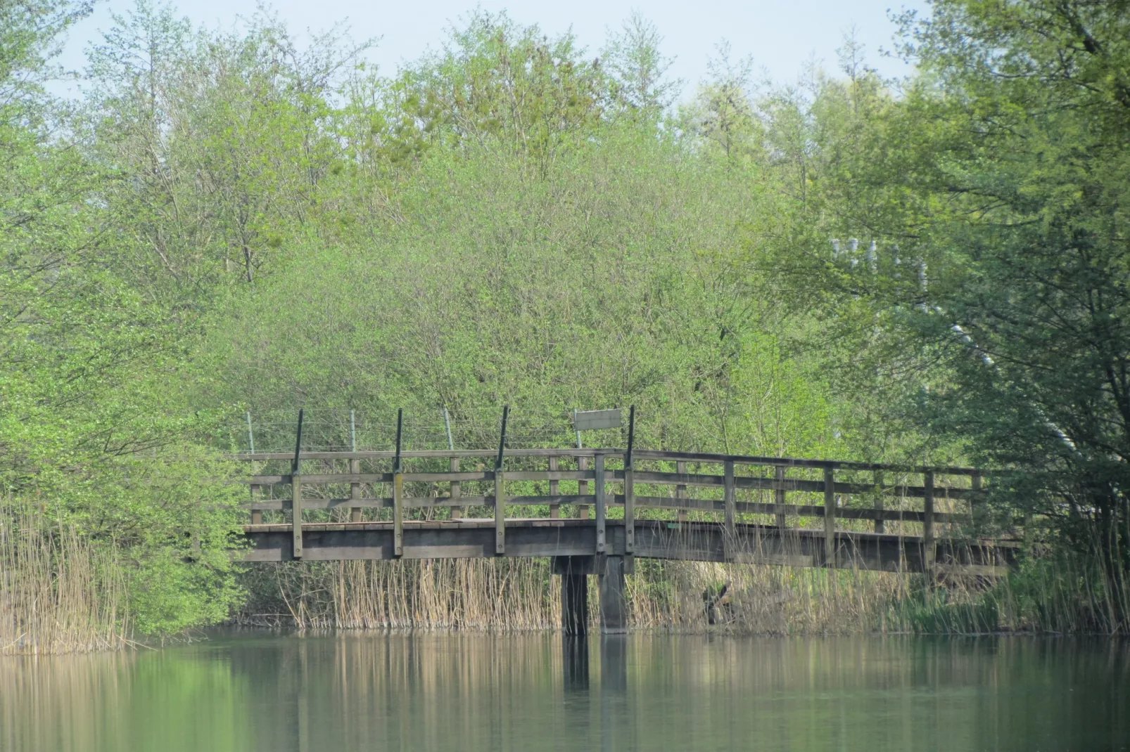 Vakantiepark 't Broeckhuys 1 - Gebieden zomer 1km