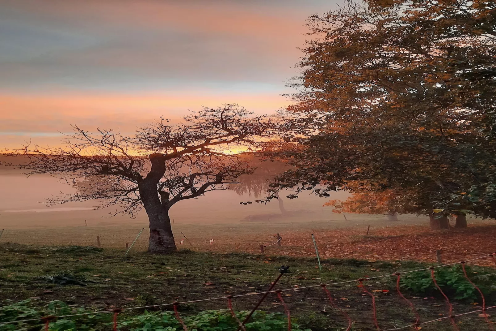 Zuckerbauernhof Weideblick - Gebieden zomer 5km