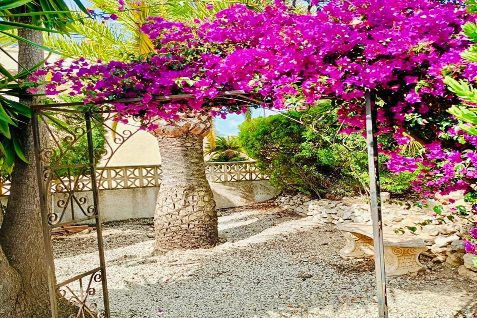 Casa Alegria - Tuinen zomer