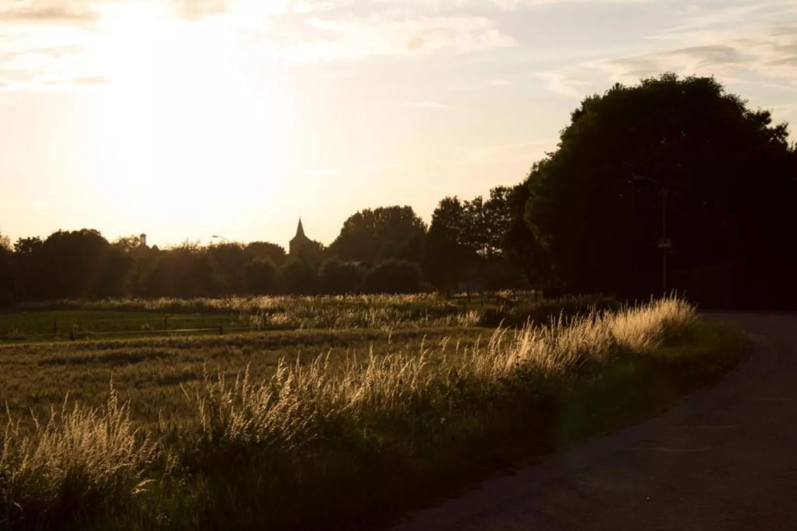 Vakantiepark 't Broeckhuys 7 - Gebieden zomer 20km