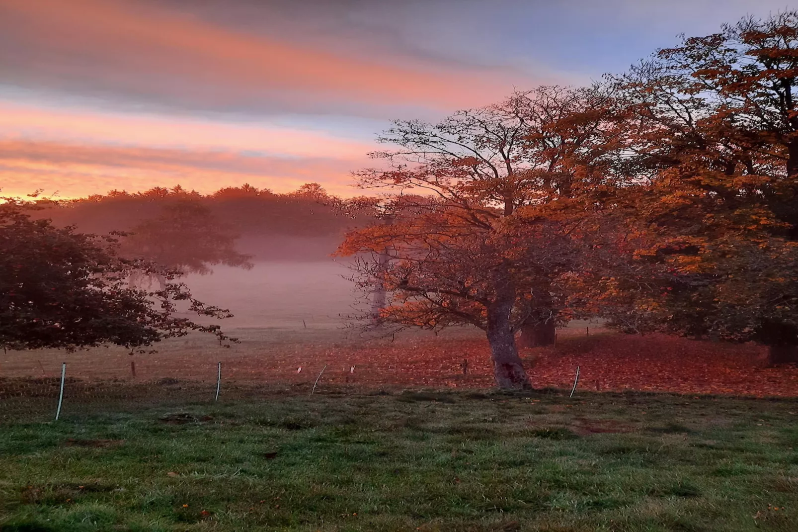 Zuckerbauernhof Weideblick - Gebieden zomer 20km