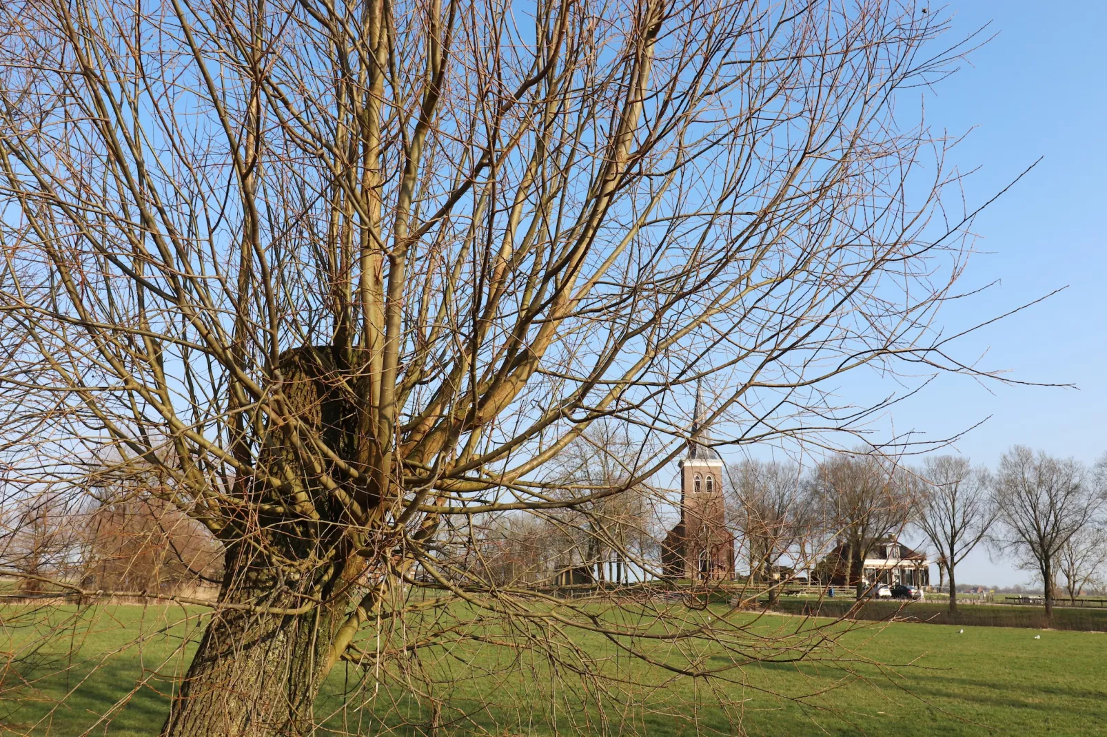Moderne villa op het Friese platteland - Uitzicht zomer