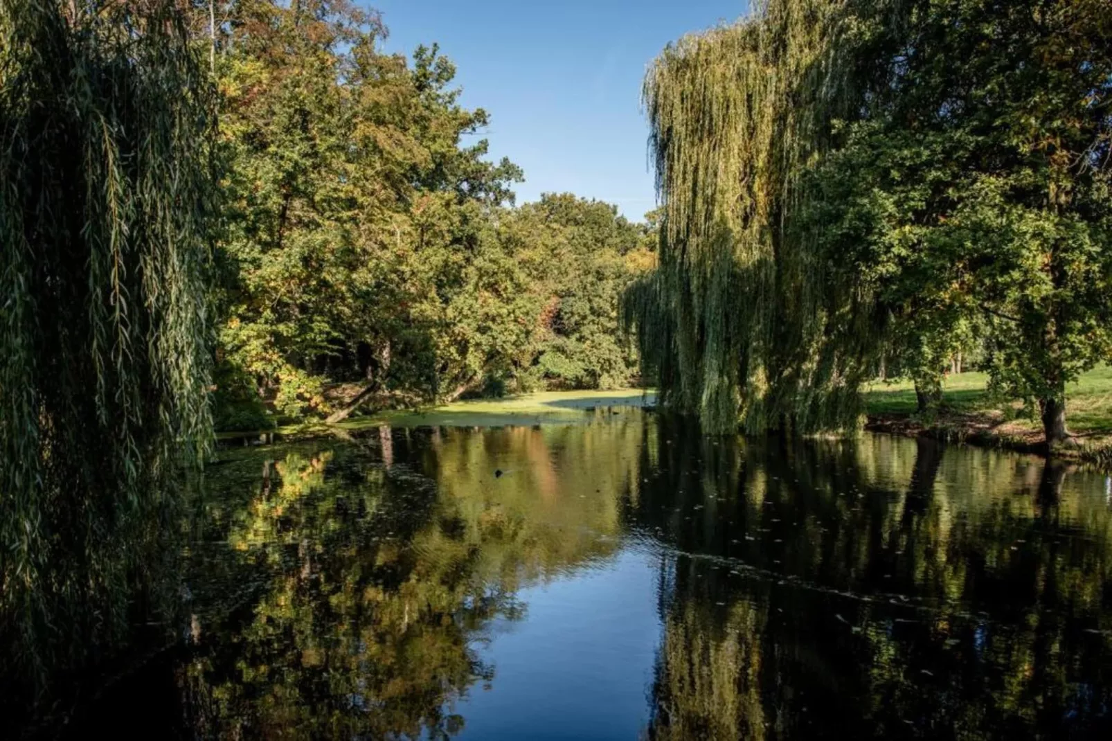 Vakantiepark 't Broeckhuys 6 - Gebieden zomer 20km