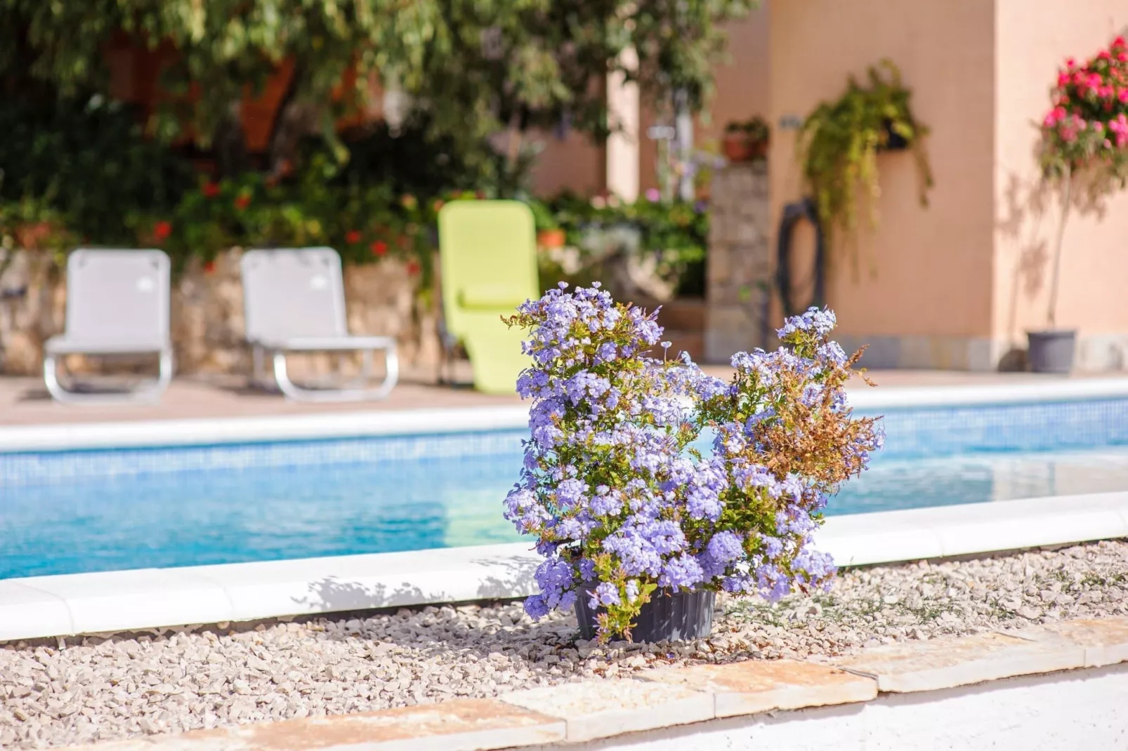 Holiday Home Rokoko - Two Bedroom Holiday Home with Swimming Pool - Zwembad