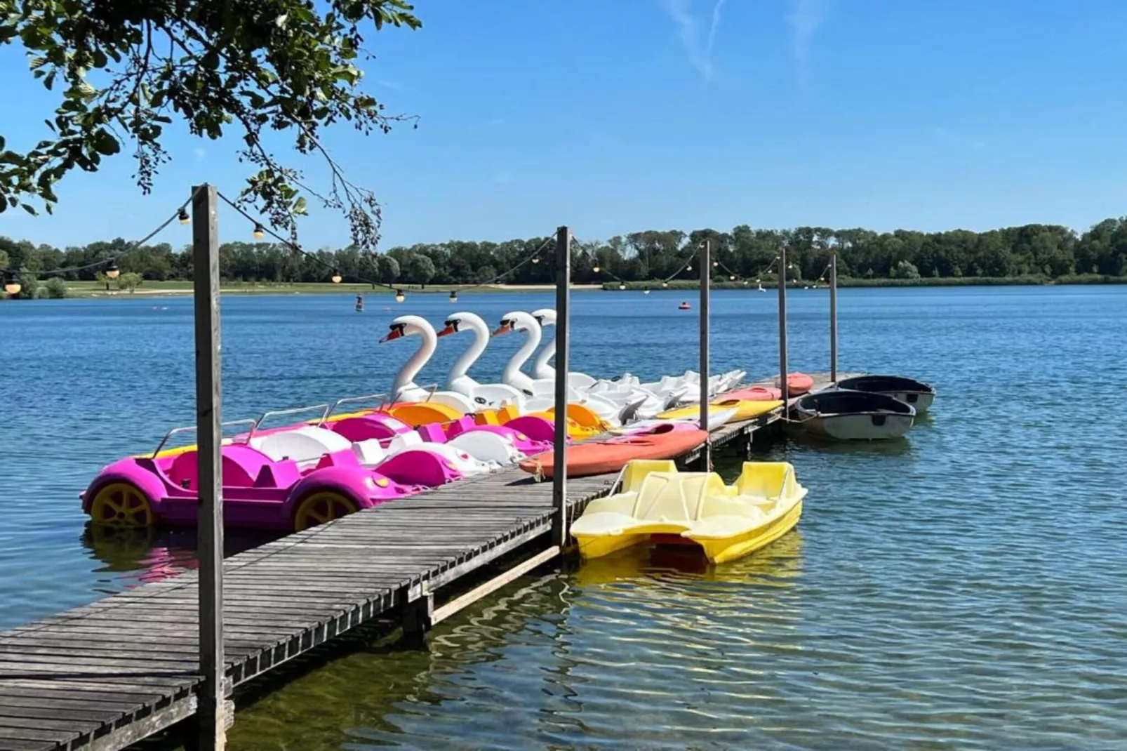 Vakantiepark 't Broeckhuys 6 - Gebieden zomer 20km