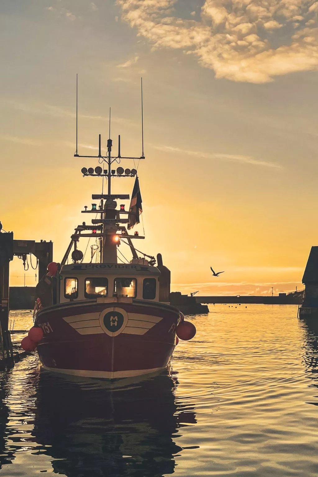 Stonecrop - Omgeving