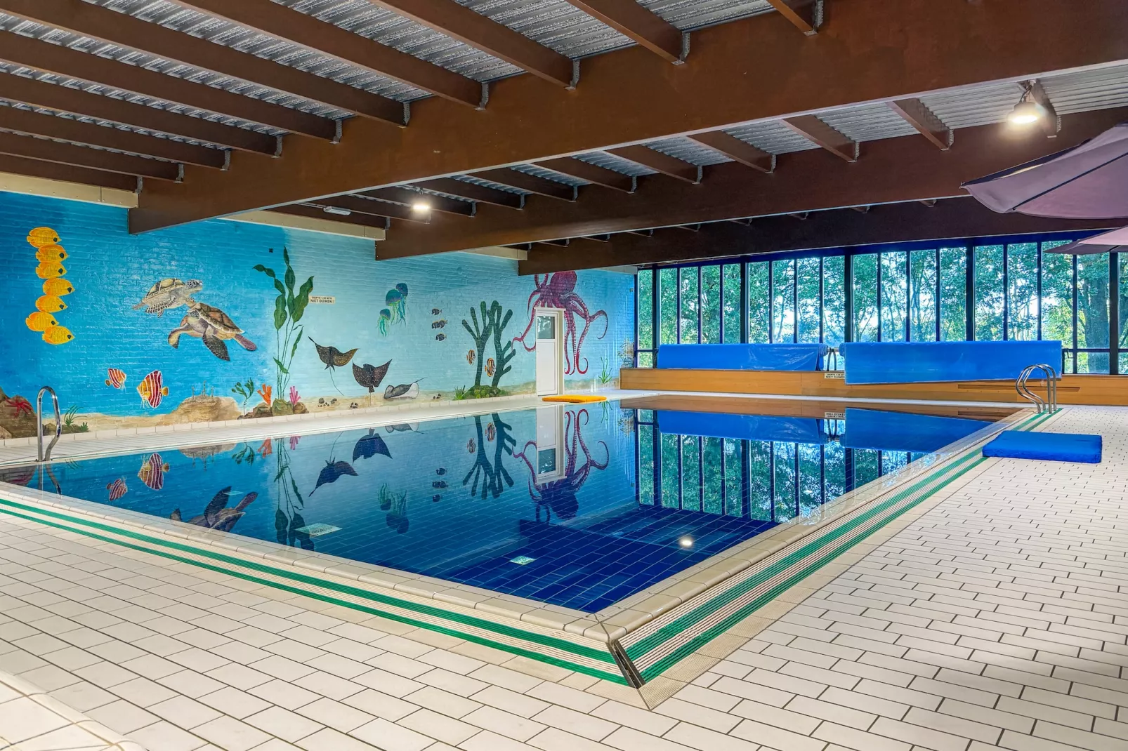 Vakantiepark 't Broeckhuys 1 - Zwembad